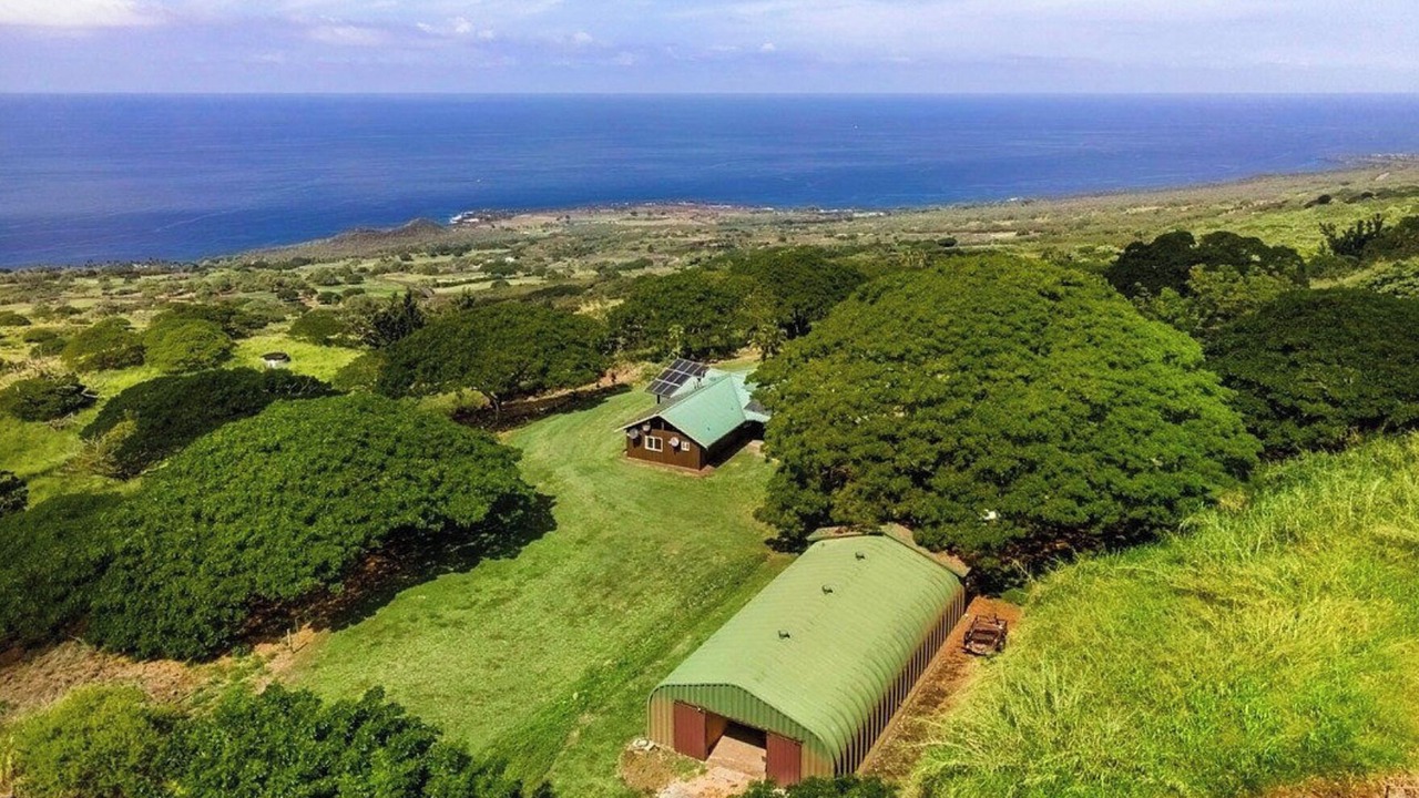 Photo of Outdoor in Kealakekua