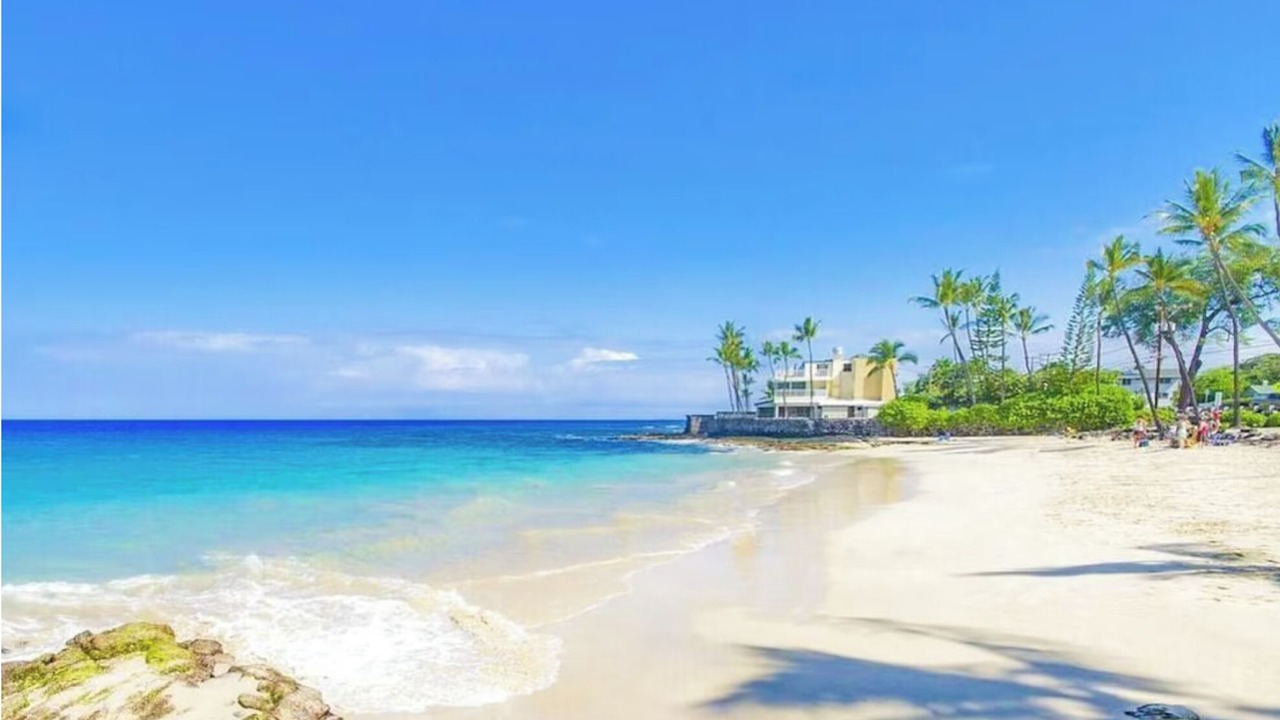 Photo of Others in Kahaluu Bay
