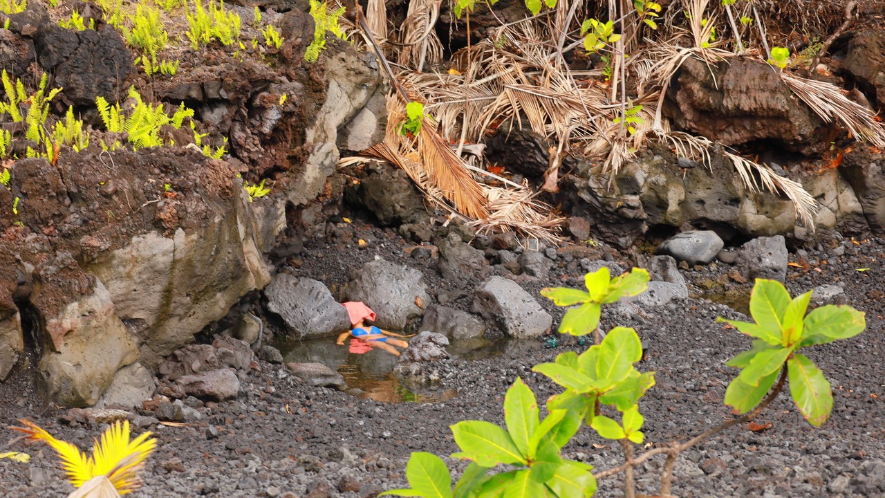 Photo of Outdoor in Kehena Beach Estates