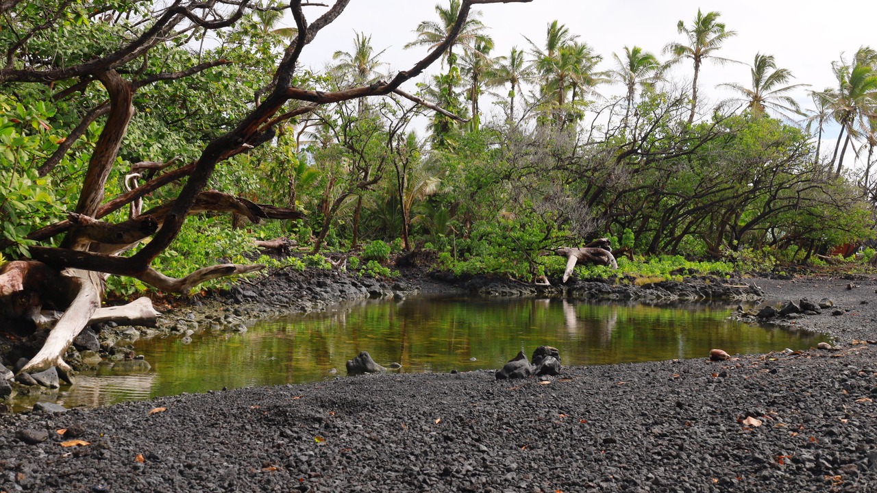 Photo of Outdoor in Kehena Beach Estates