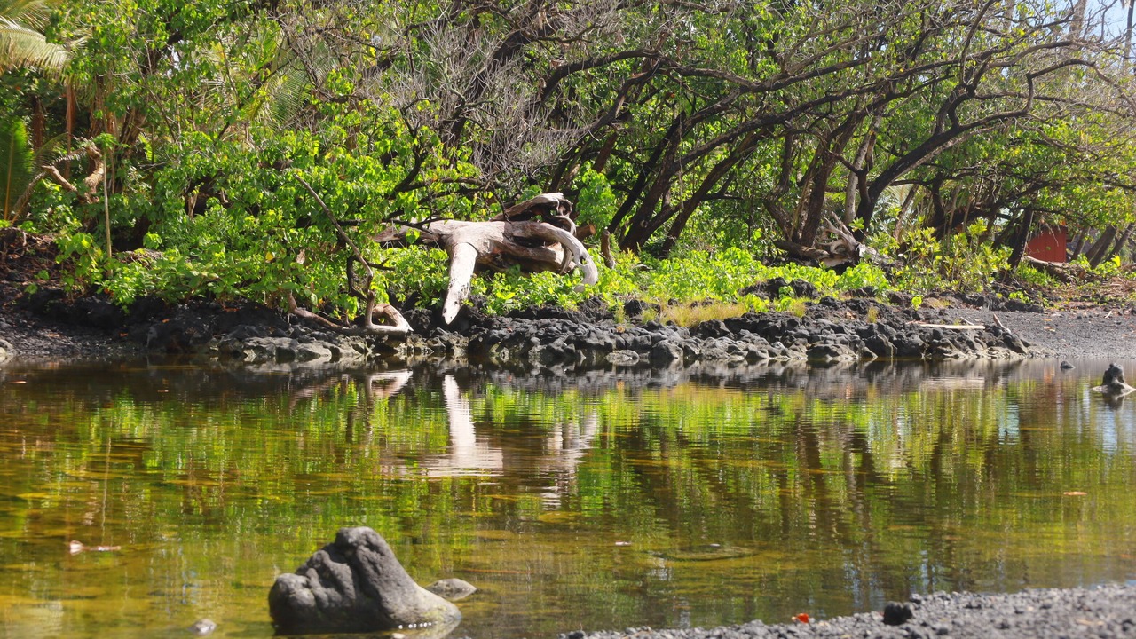Photo of Outdoor in Kehena Beach Estates