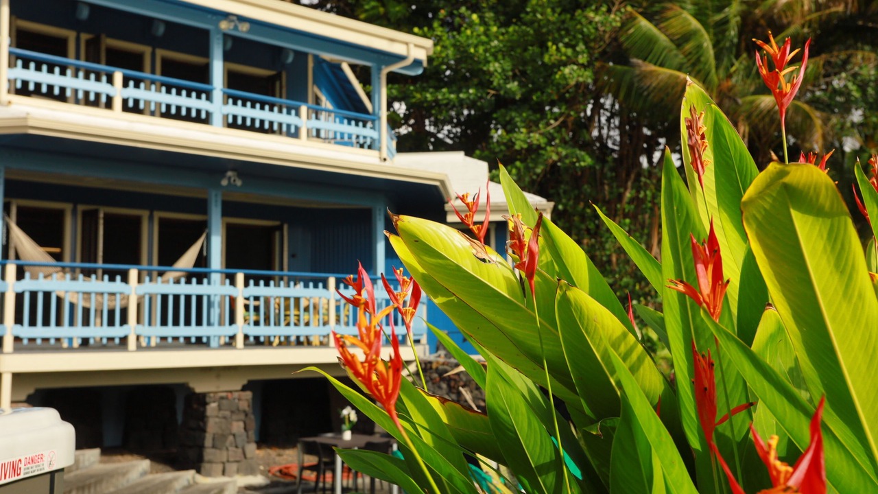 Photo of Outdoor in Kehena Beach Estates
