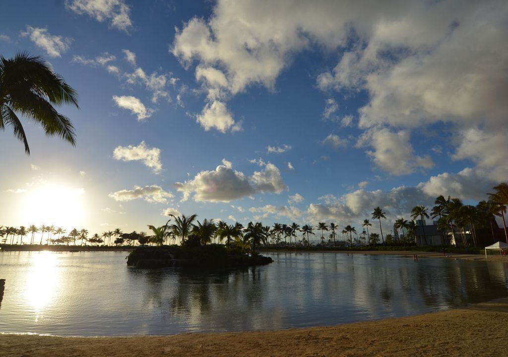 Photo of Others in Honolulu