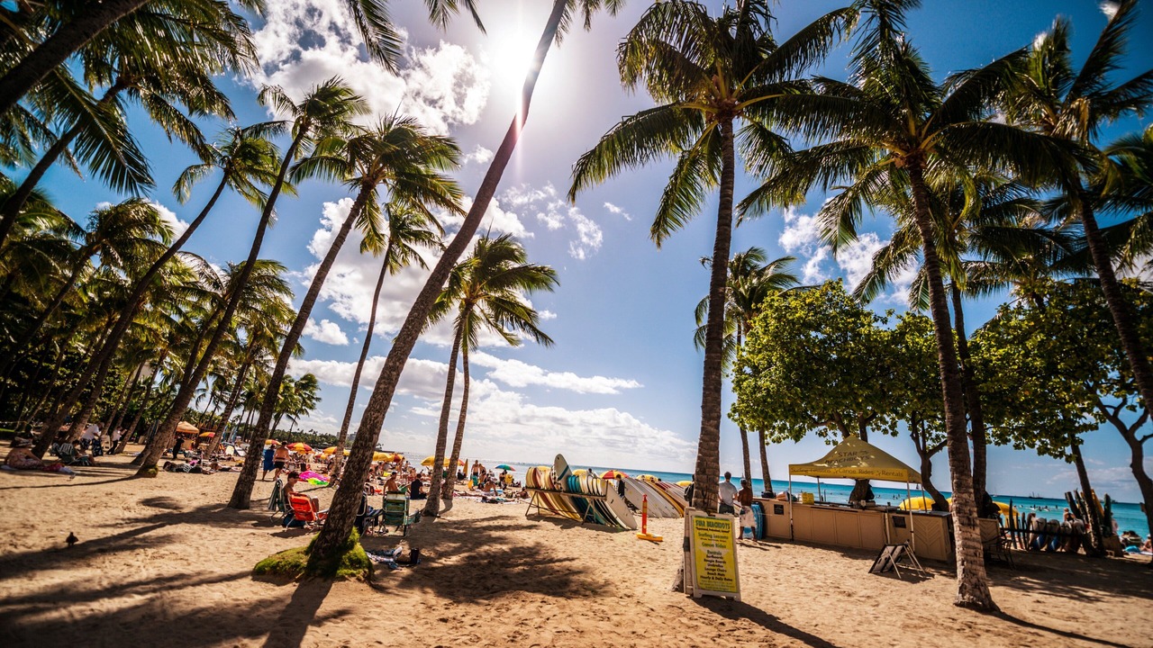 Photo of Others in Waikiki