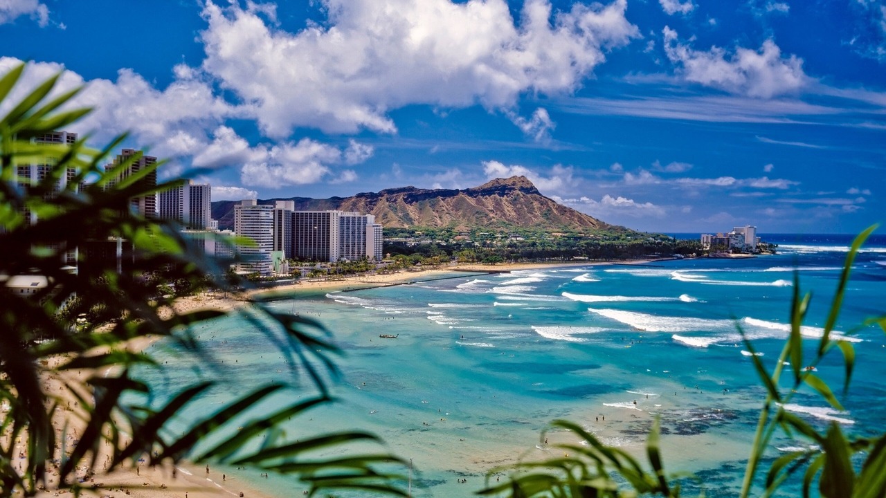 Photo of Others in Waikiki
