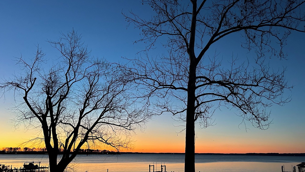 Photo of Others in Deltaville
