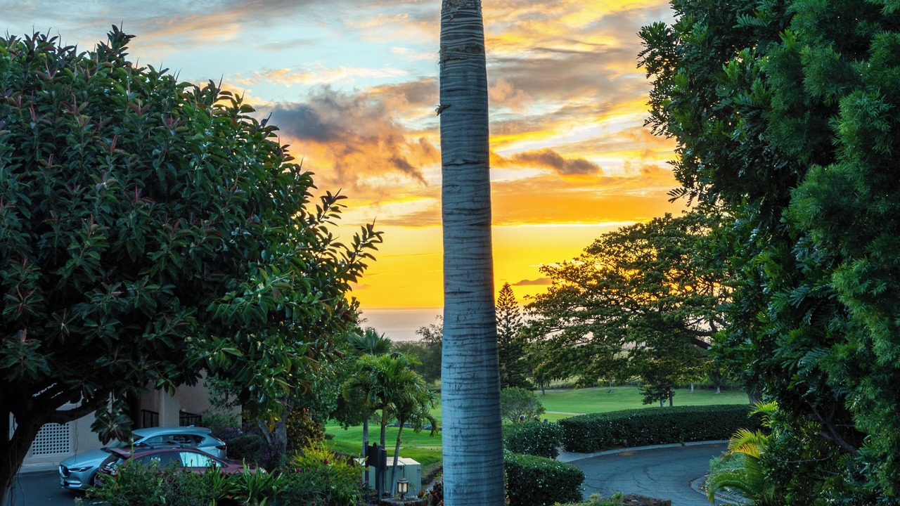 Photo of Outdoor in Waikoloa