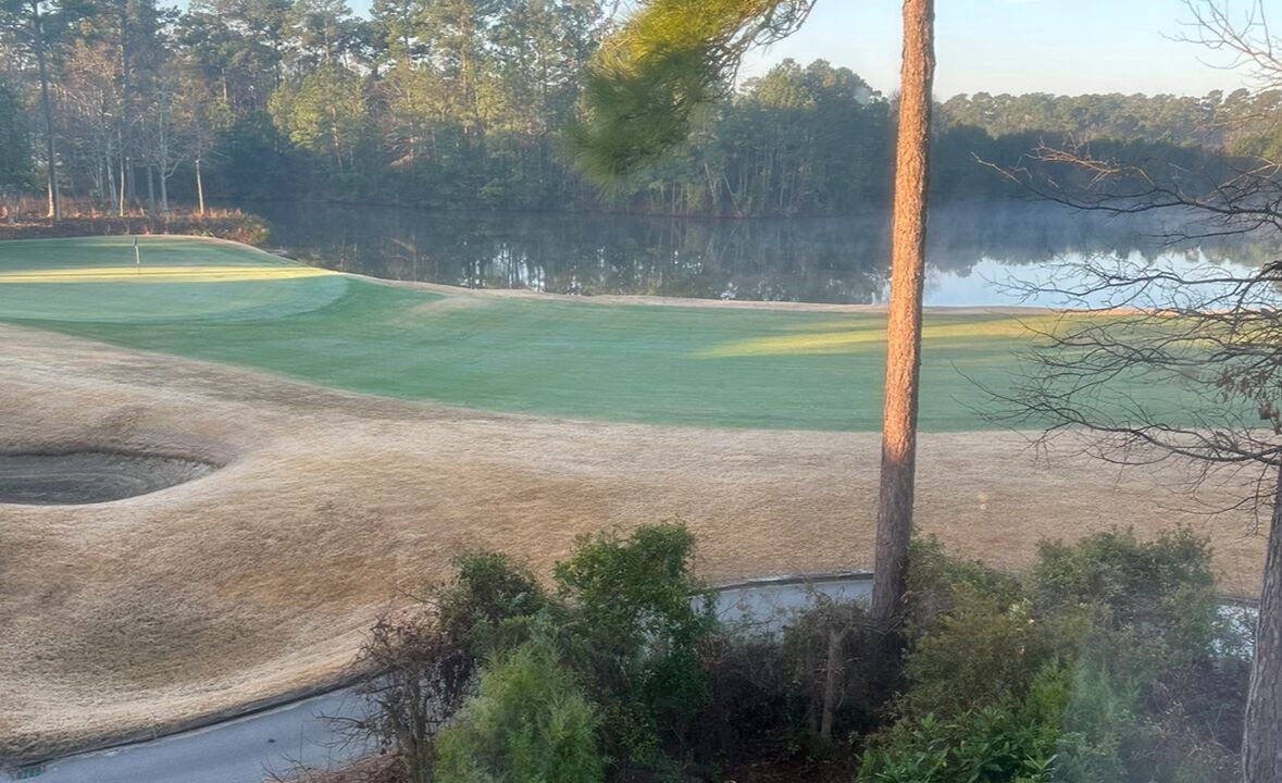 Photo of Others in Pawleys Island
