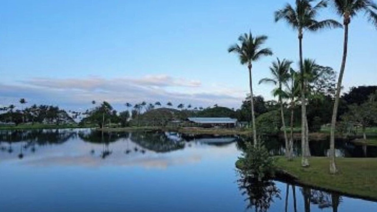 Photo of Outdoor in Hilo