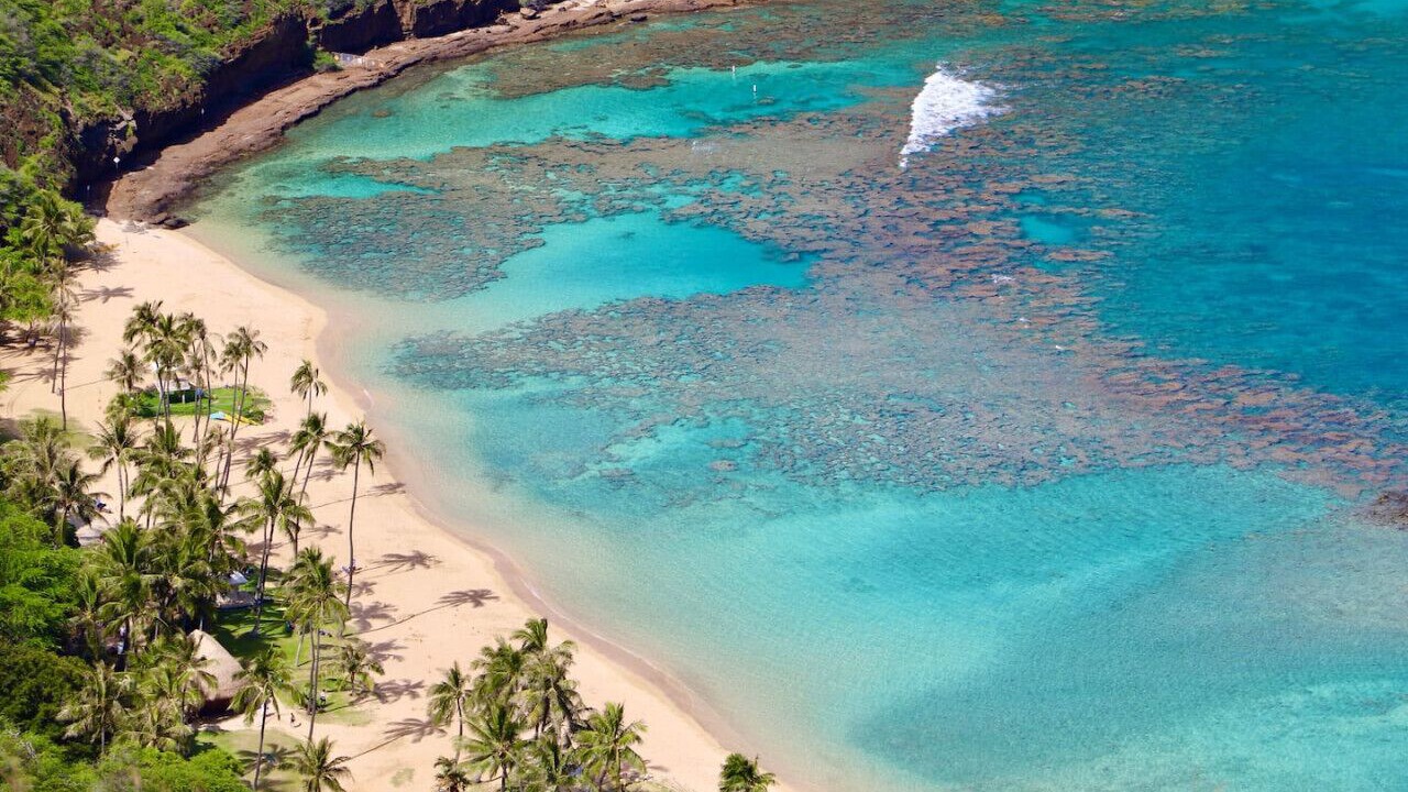 Photo of Others in Waikiki