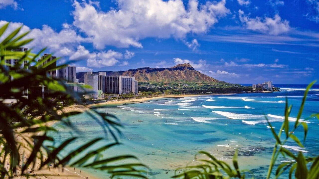 Photo of Others in Waikiki
