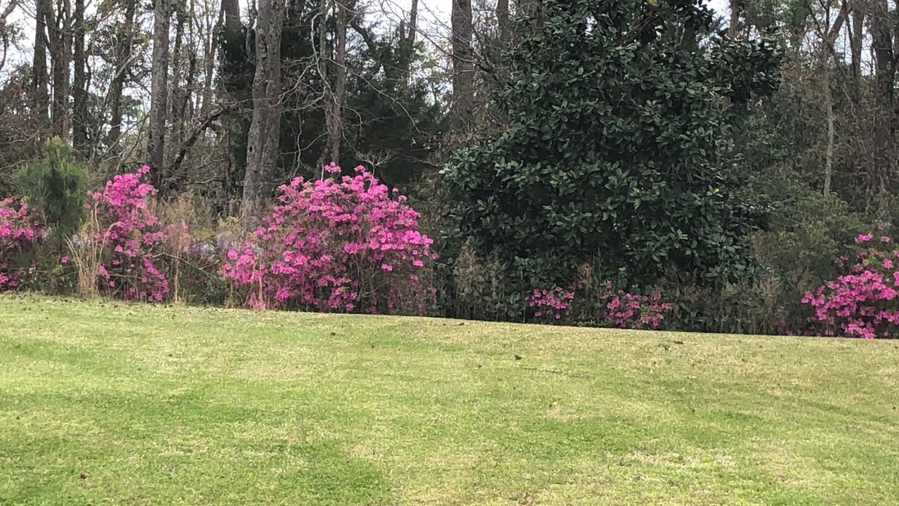 Photo of Outdoor in Craven County