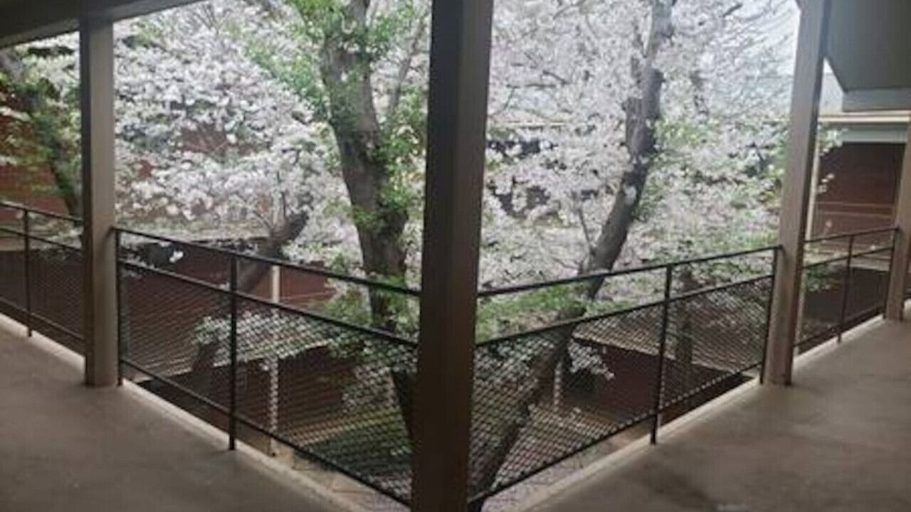Photo of Outdoor in Athens