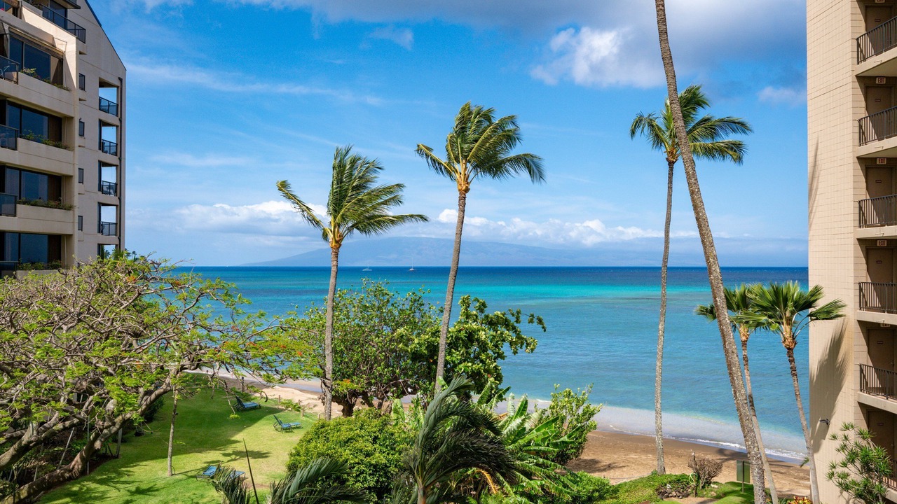 Photo of Others in Kahana