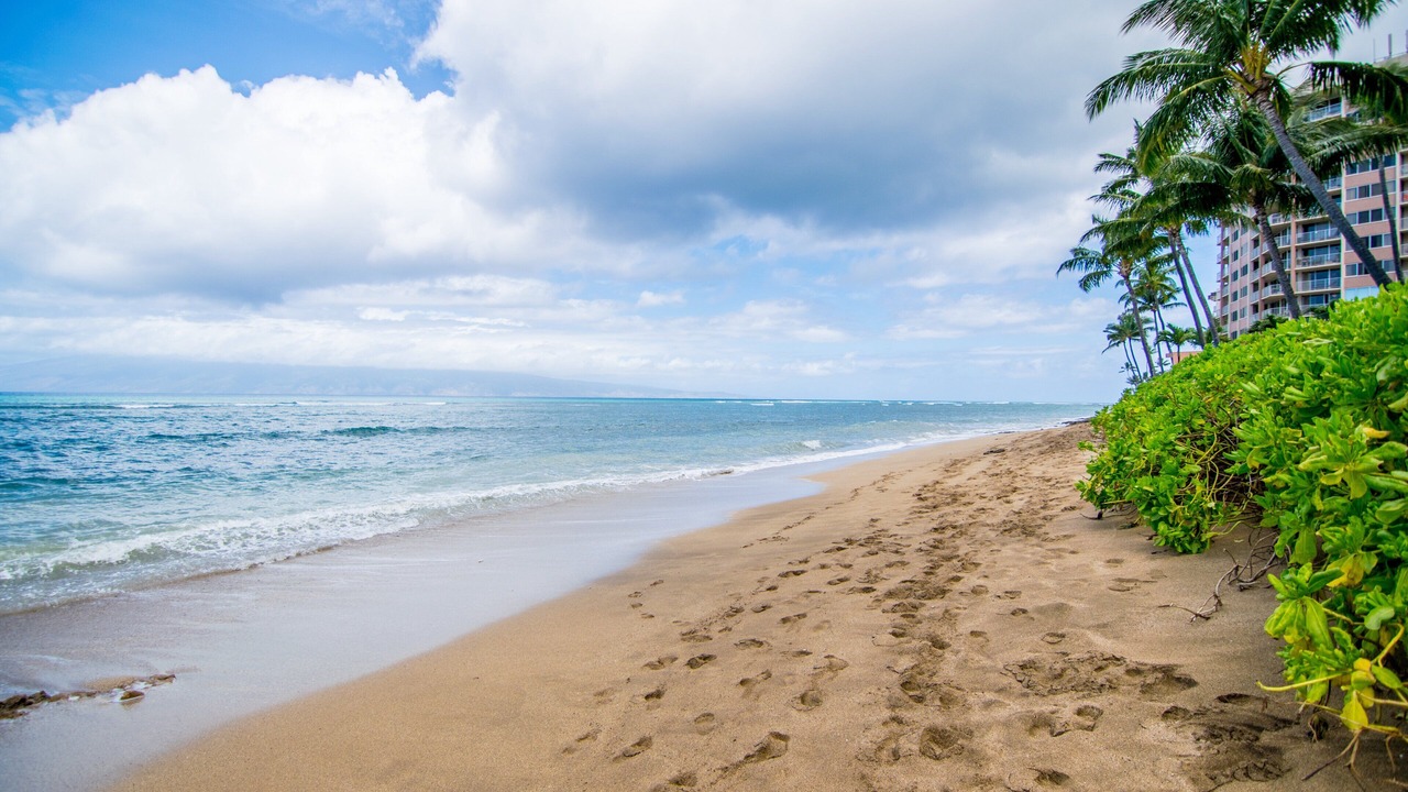 Photo of Others in Kahana