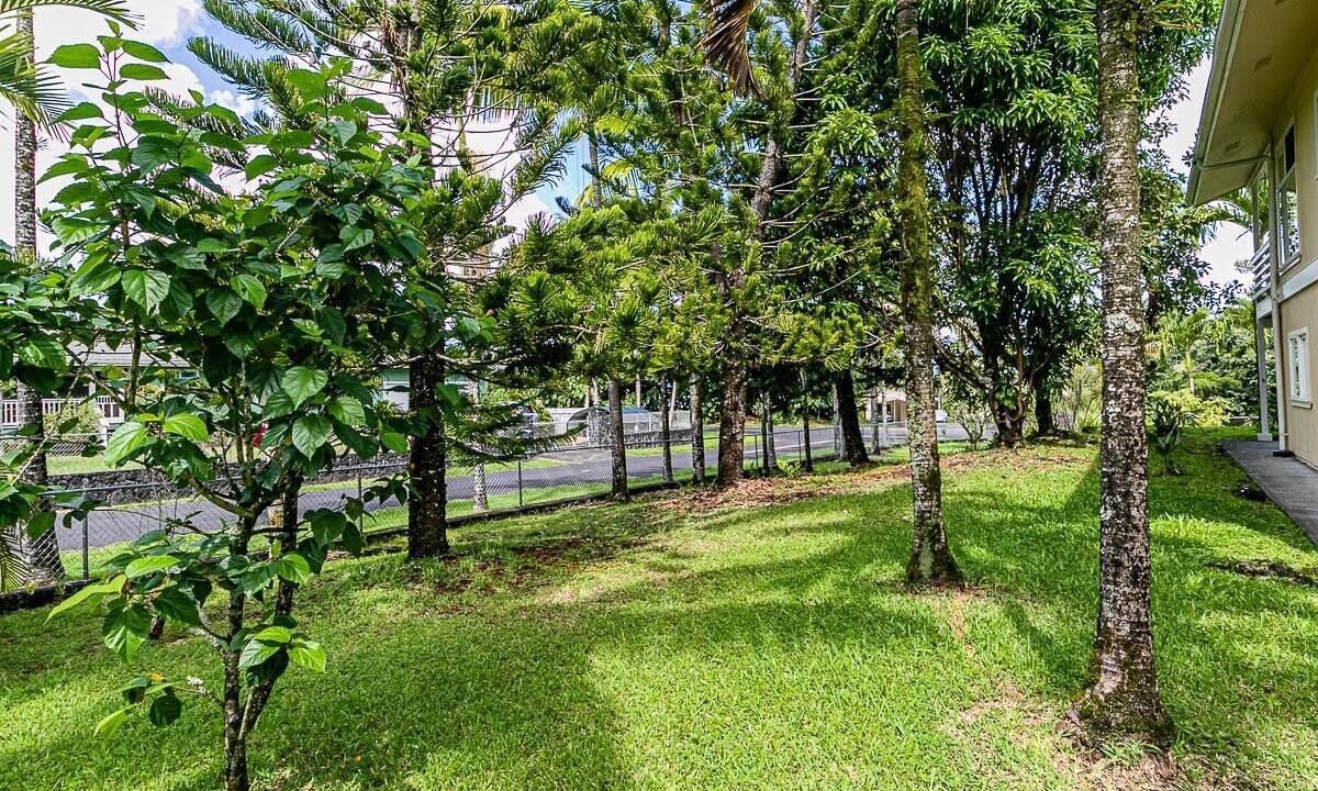 Photo of Outdoor in Kapoho