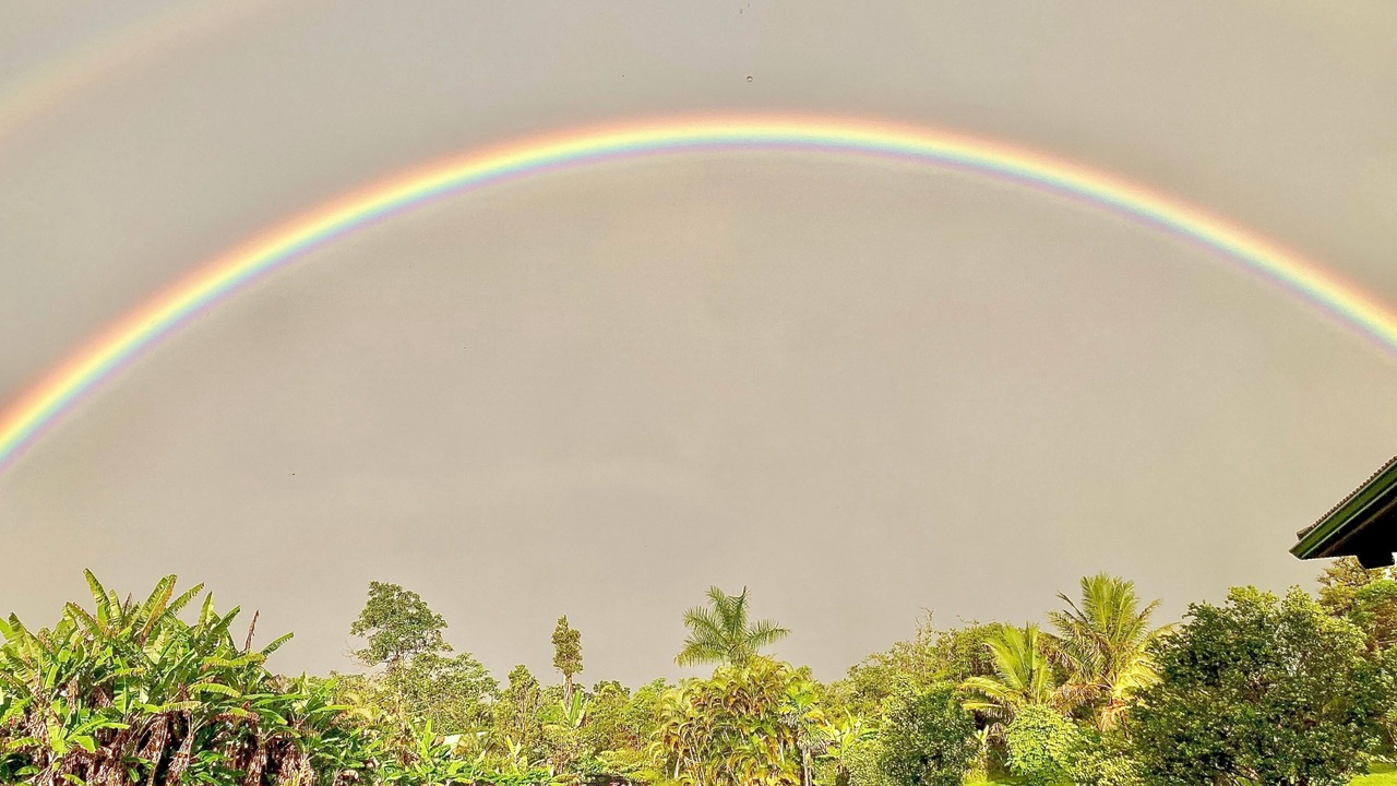 Photo of Others in Pahoa