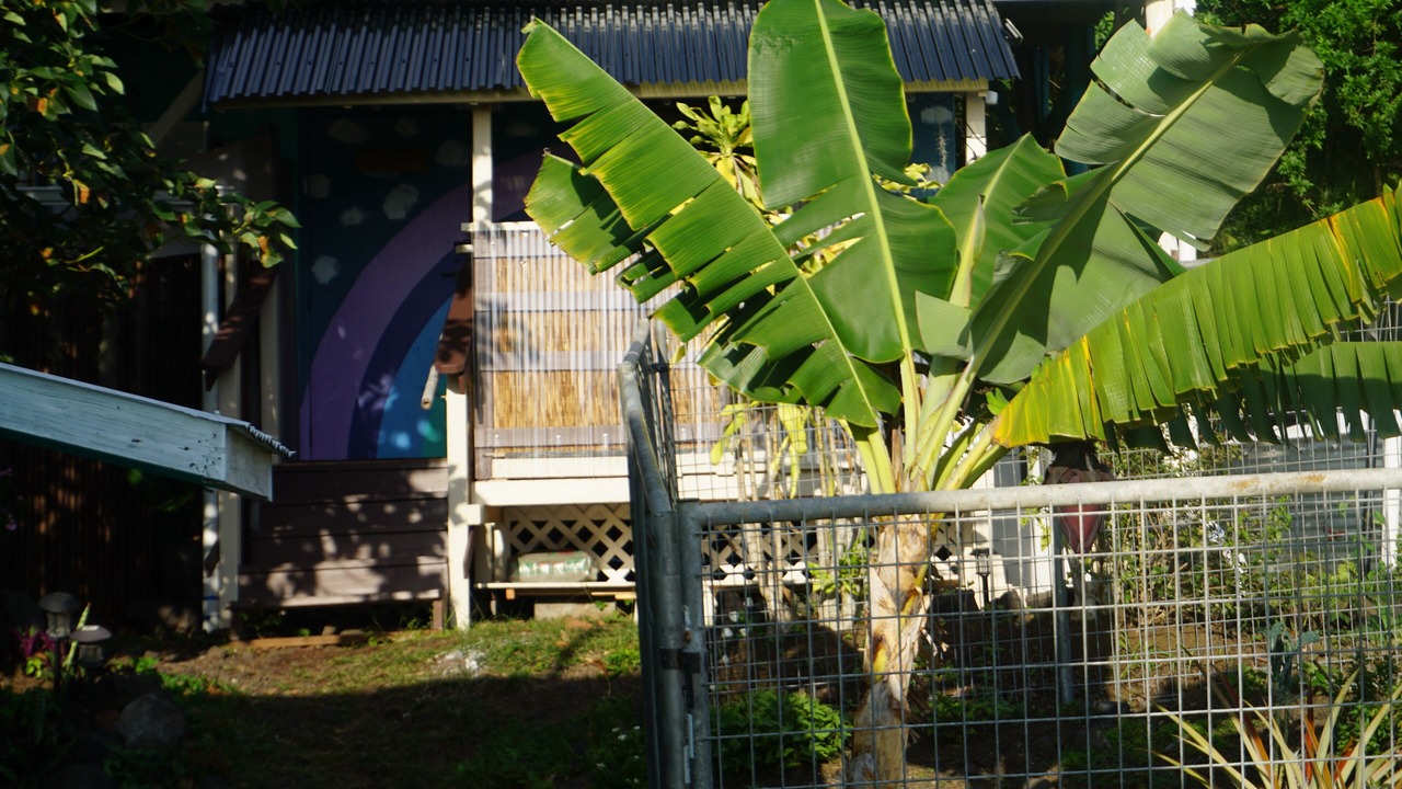 Photo of Outdoor in Opihihale