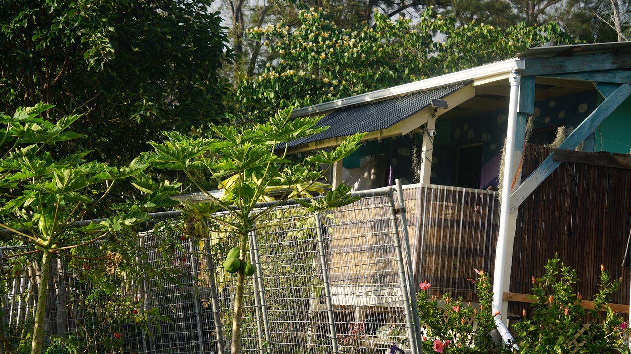 Photo of Outdoor in Opihihale