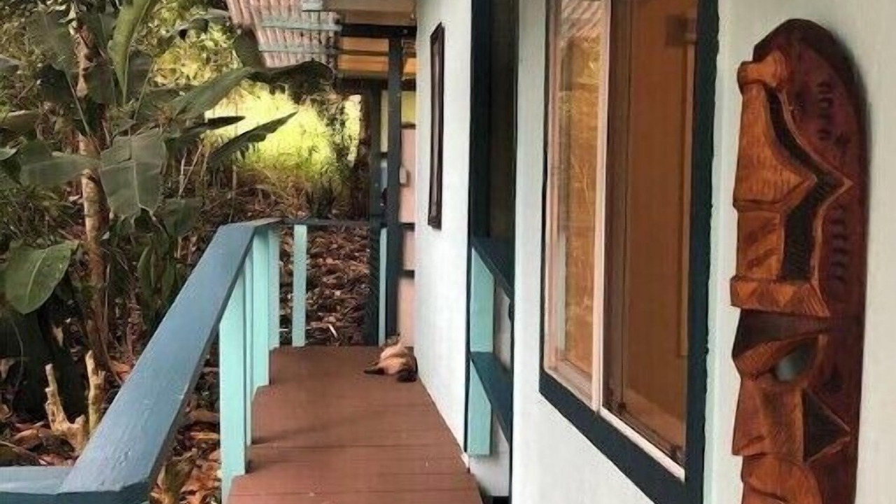 Photo of Outdoor in Kealakekua