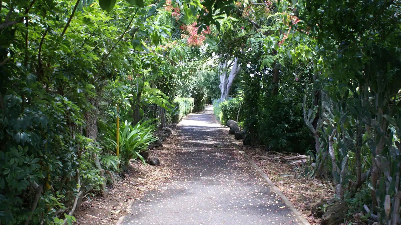 Photo of Others in Pupukea