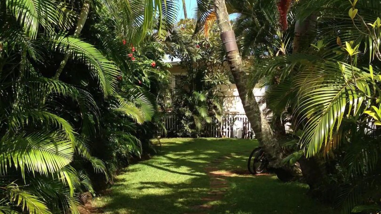Photo of Others in Pupukea