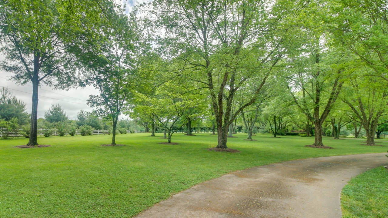 Photo of Others in Lawndale