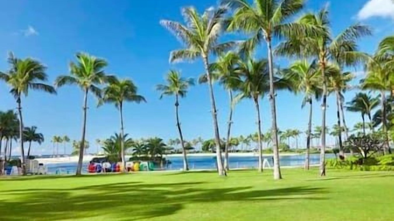Photo of Others in Waikiki