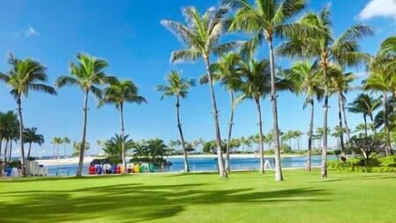 Photo of Others in Waikiki
