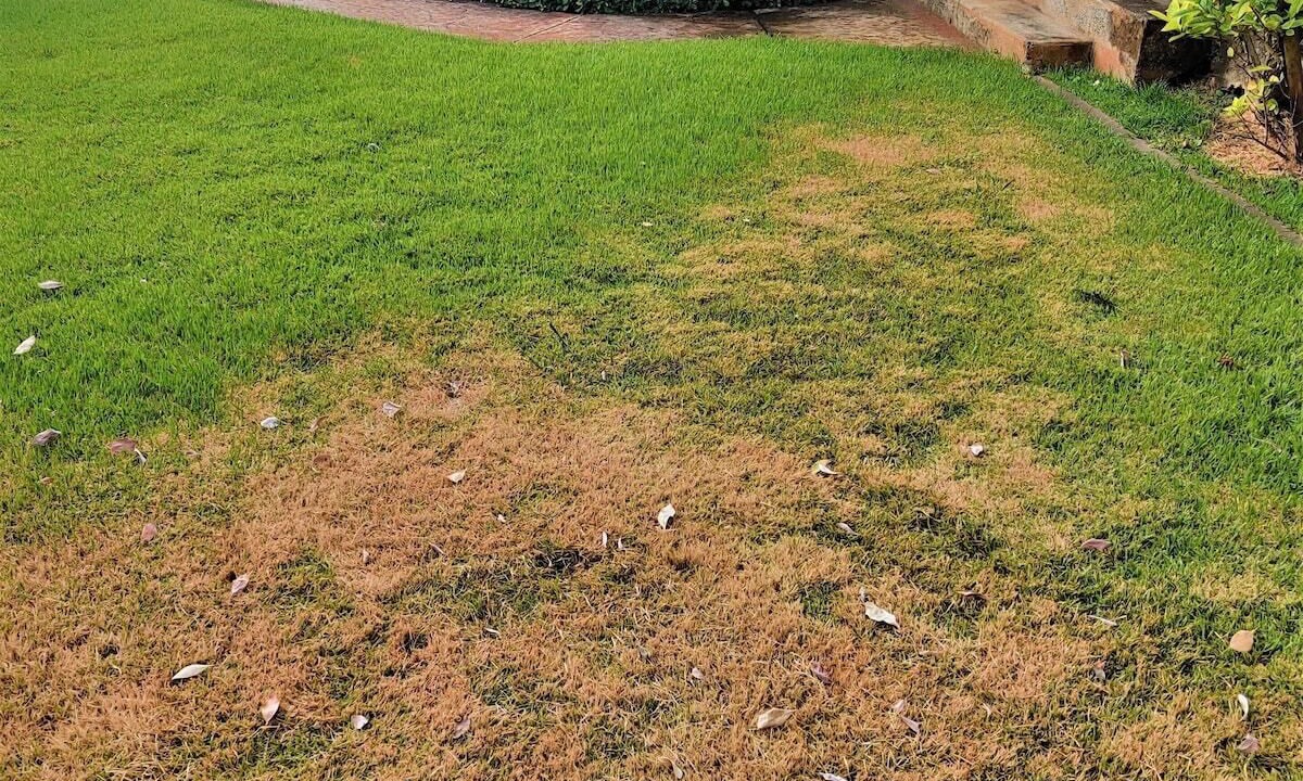 Photo of Outdoor in Laie
