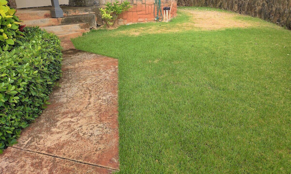 Photo of Outdoor in Laie