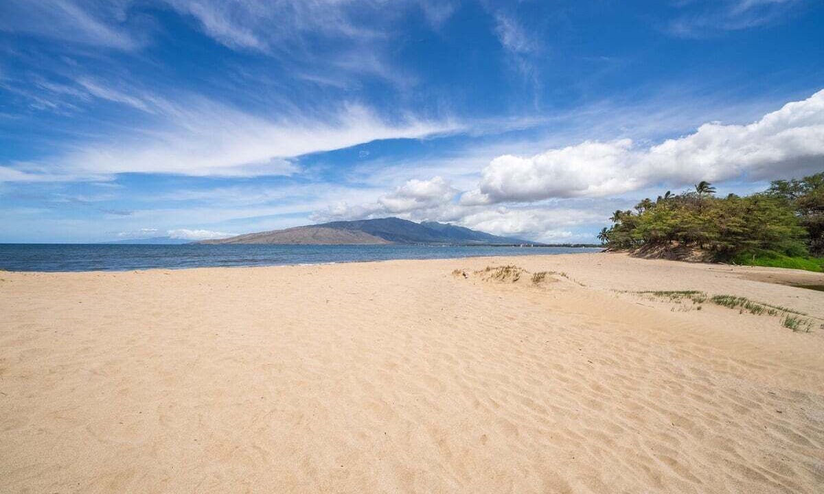 Photo of Others in Kihei