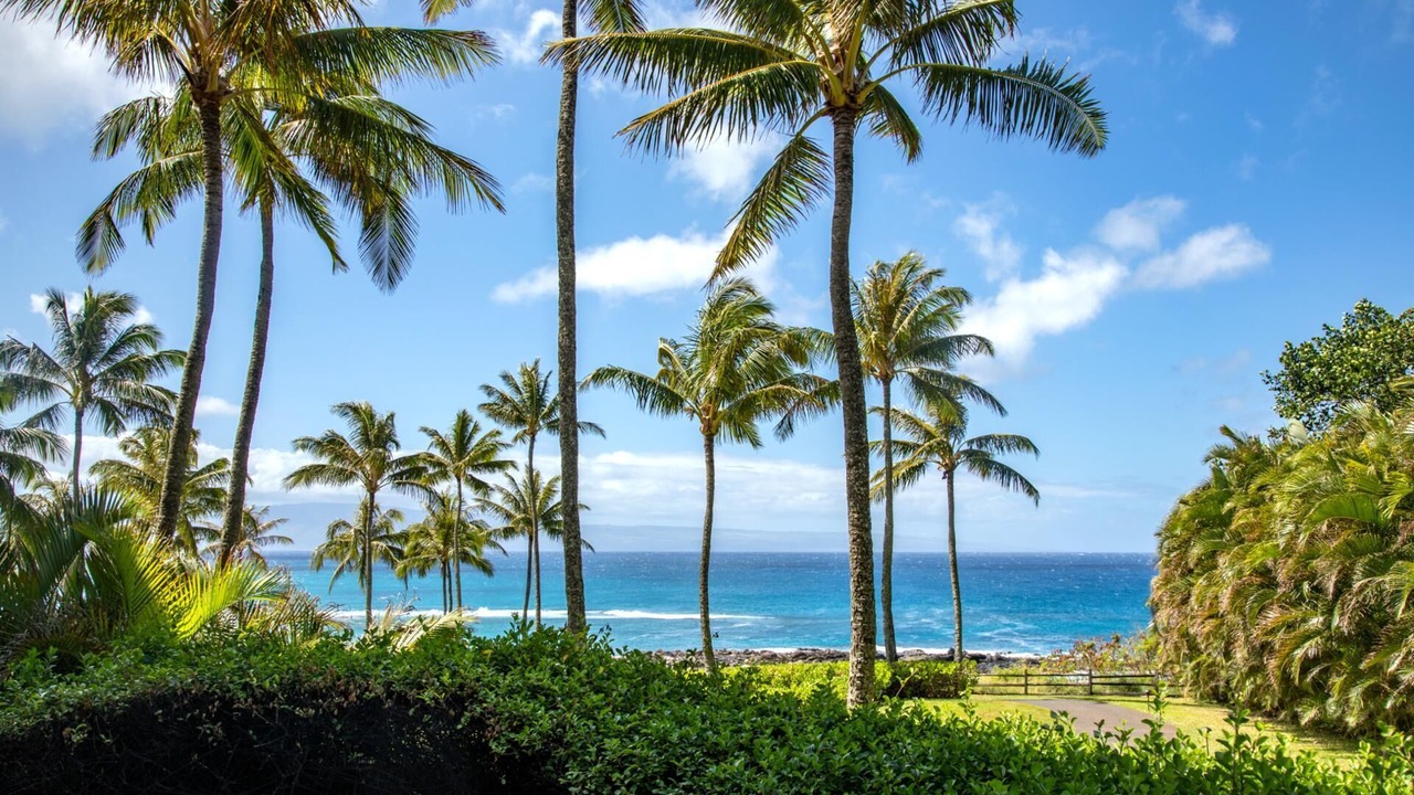 Photo of Others in Montage Kapalua Bay