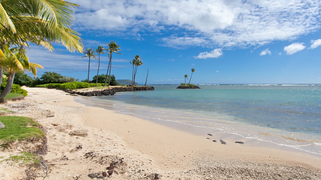 Photo of Others in Waialae Iki