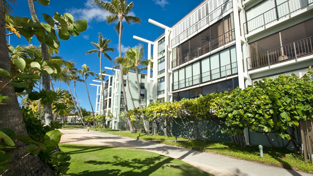 Photo of Outdoor in Waialae Iki