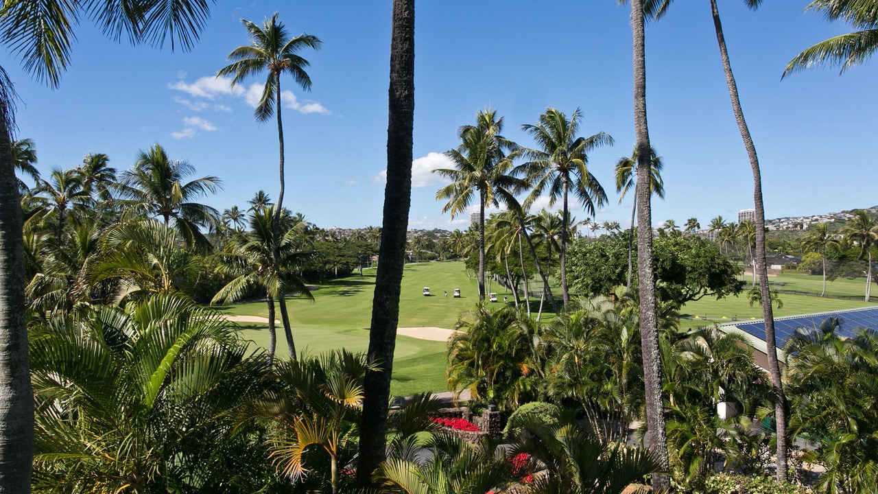 Photo of Others in Waialae Iki