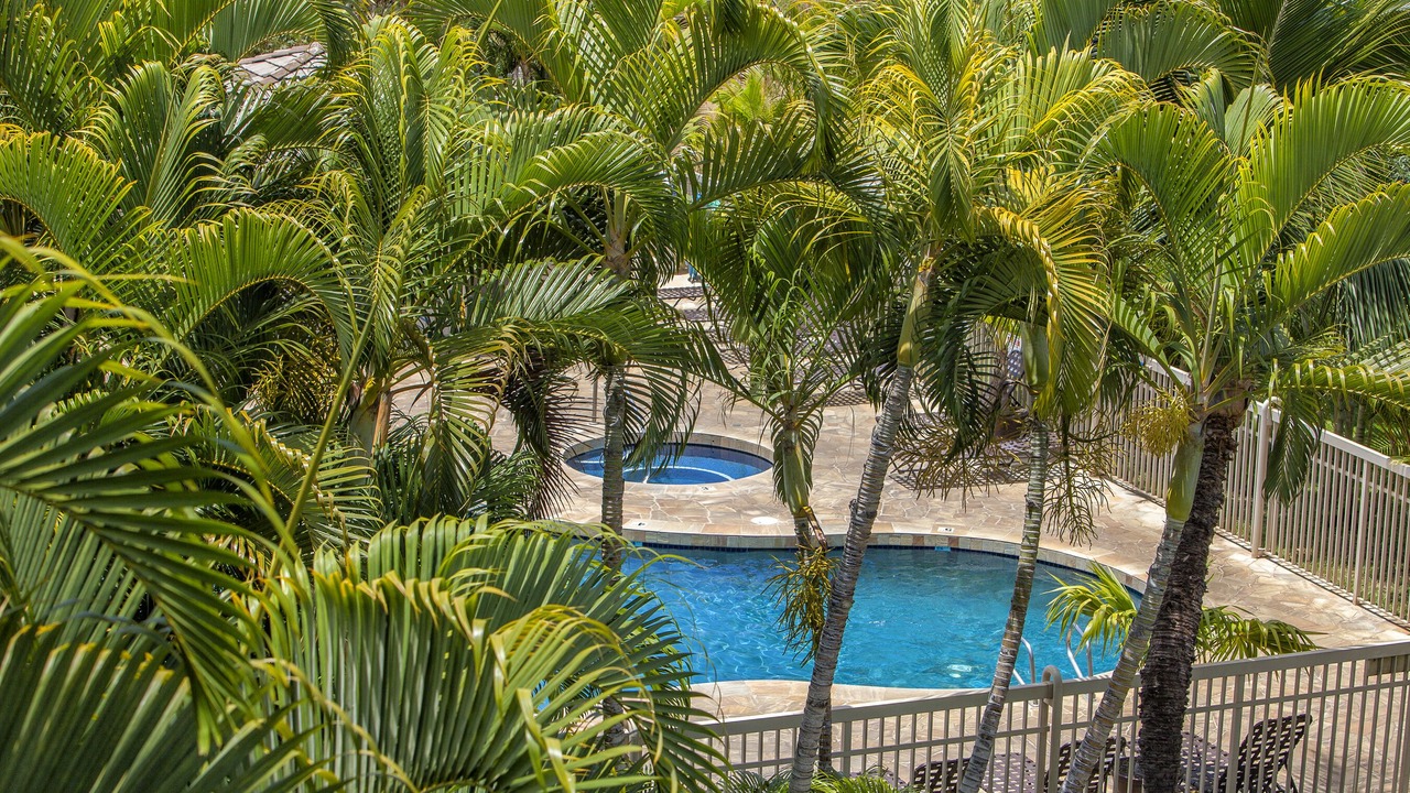 Photo of Outdoor in Kihei