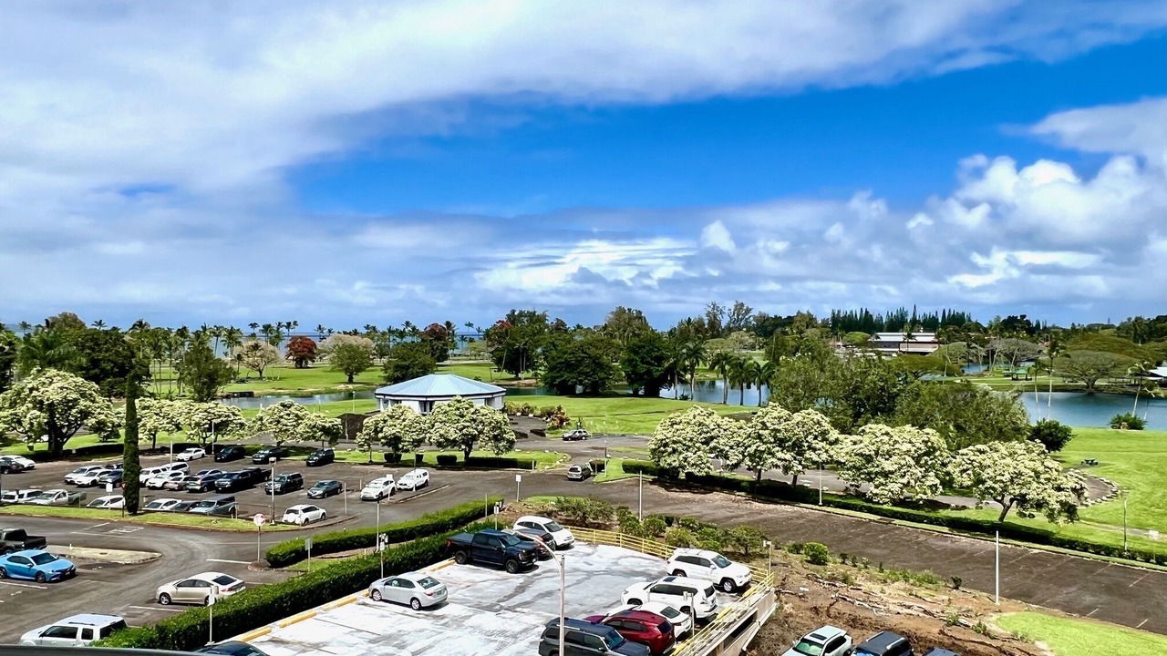 Photo of Outdoor in Hilo