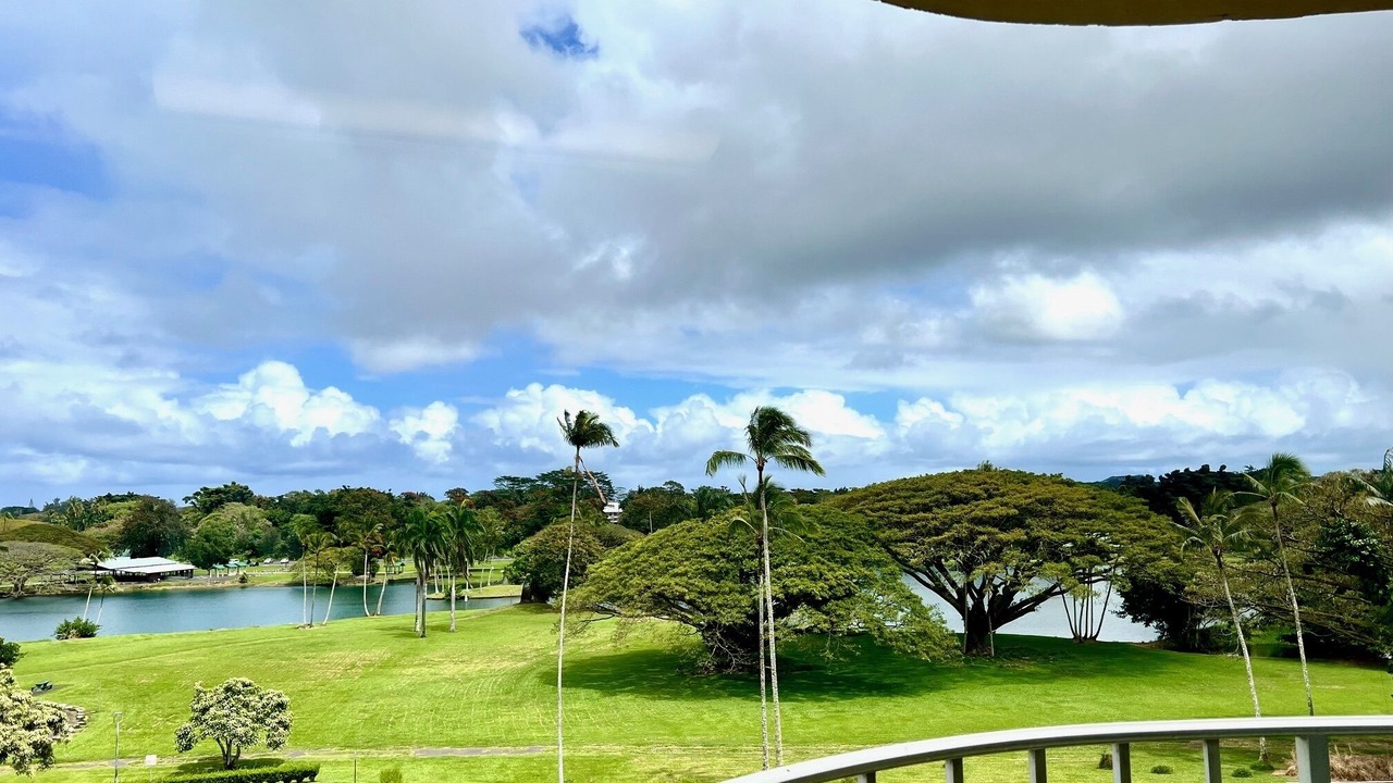 Photo of Outdoor in Hilo