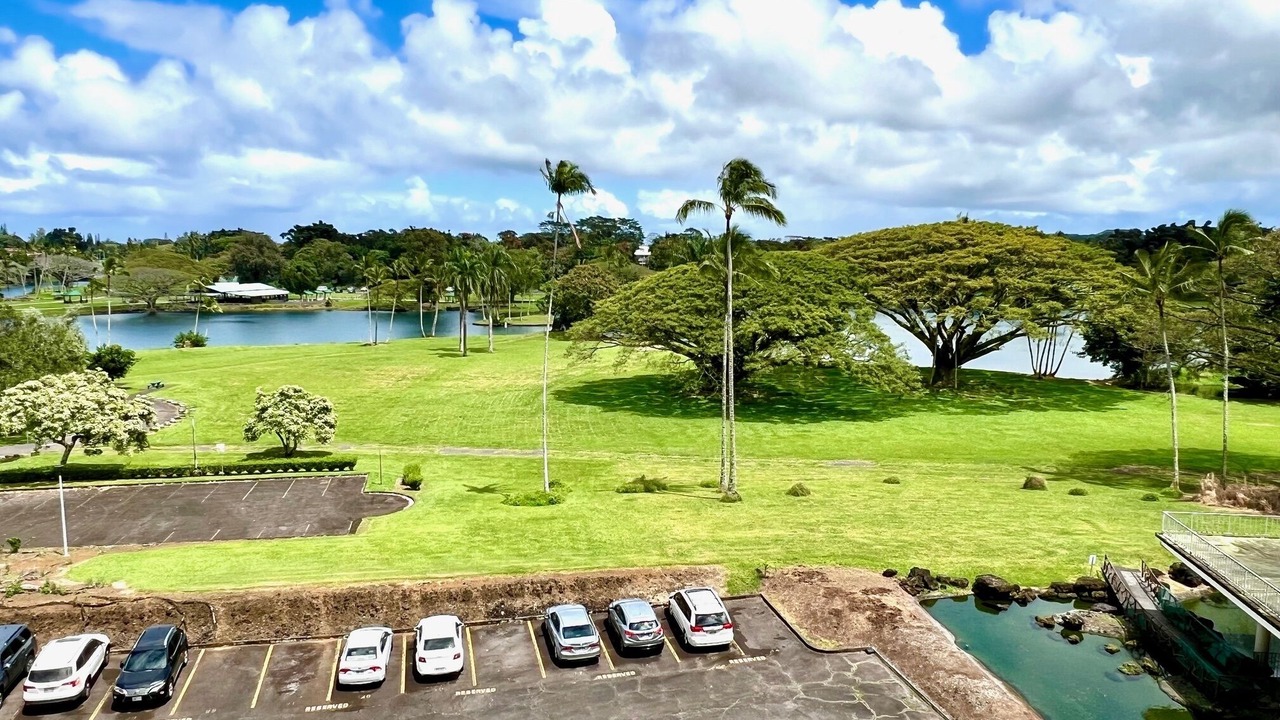 Photo of Others in Hilo