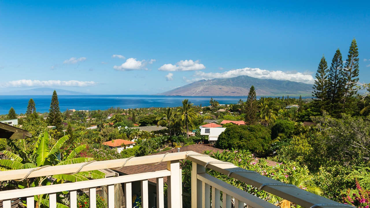 Photo of Others in Wailea