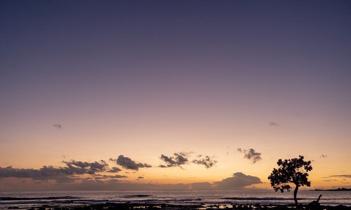 Photo of Others in Kahaluu Bay