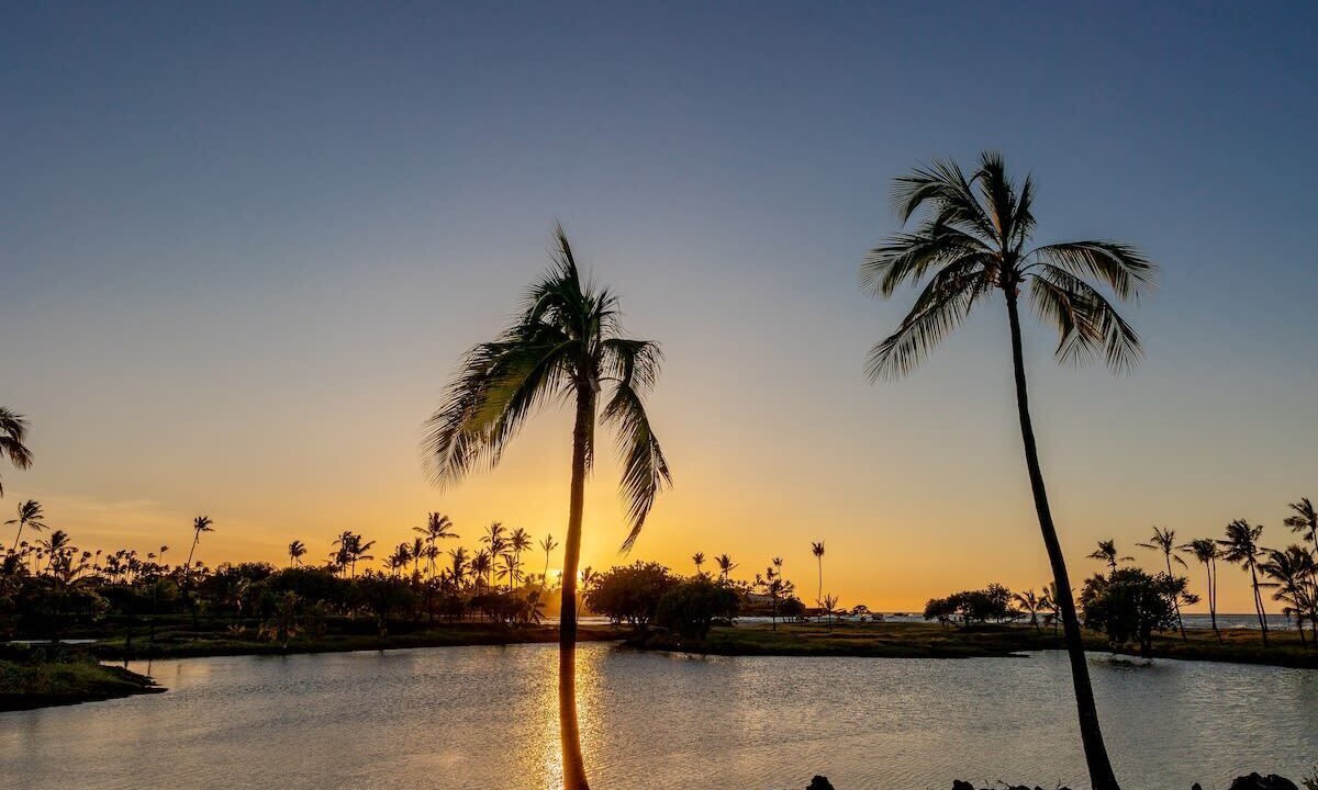 Photo of Others in Kahaluu Bay