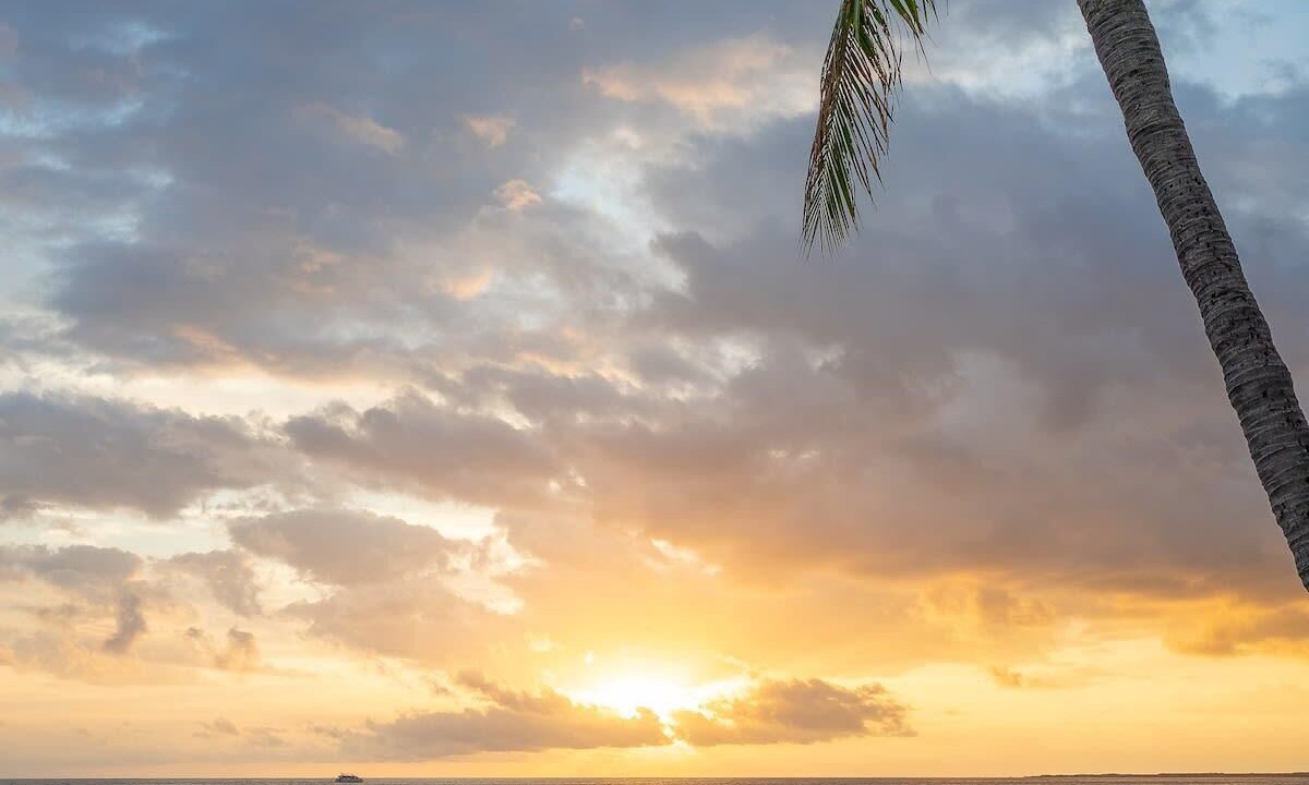 Photo of Others in Kahaluu Bay