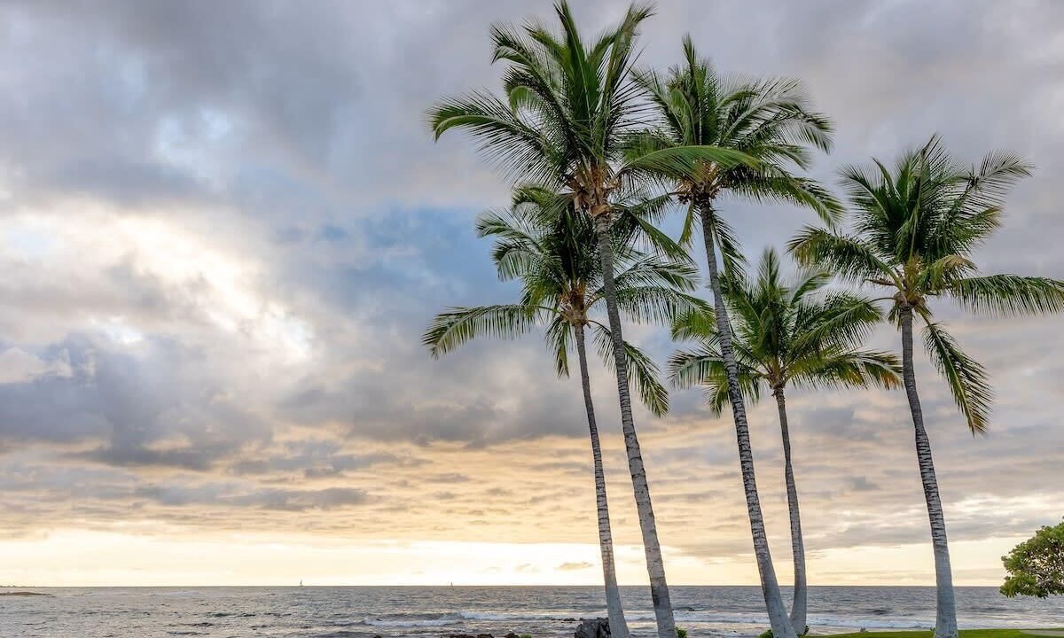 Photo of Others in Kahaluu Bay