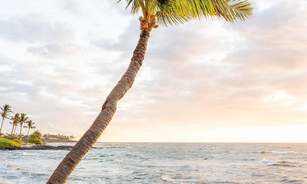 Photo of Others in Kahaluu Bay
