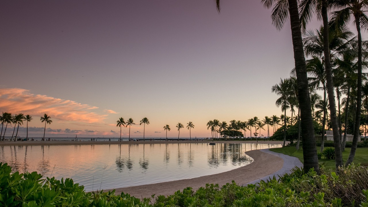Photo of Others in Waikiki