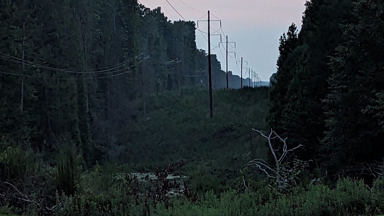 Photo of Outdoor in Cofield