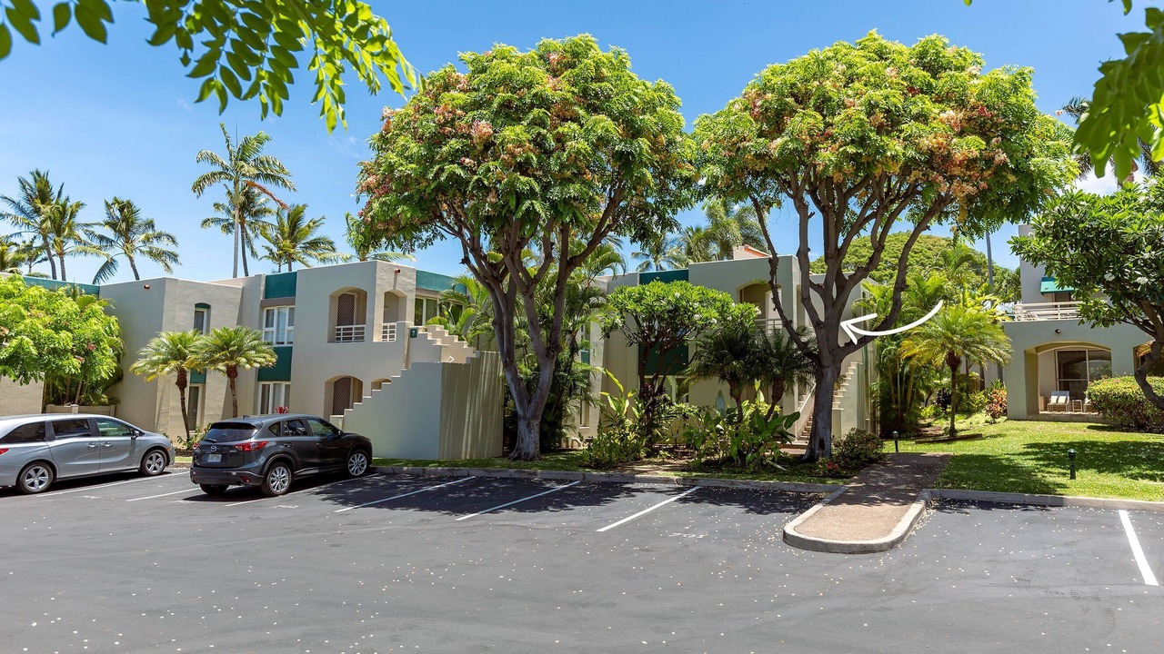 Photo of Outdoor in Wailea