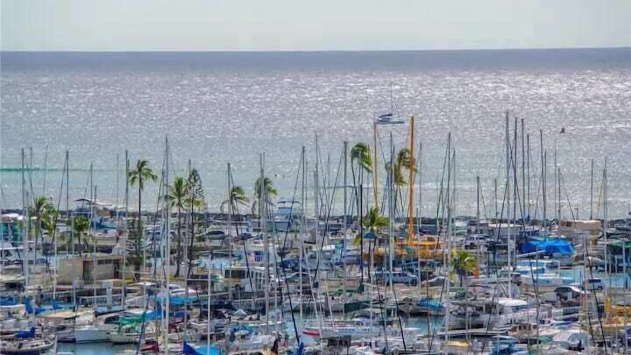 Photo of Others in Ala Moana